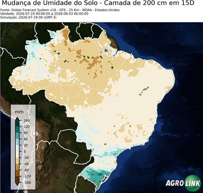 15 dias