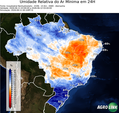 24 horas