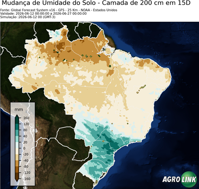 15 dias