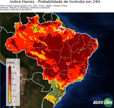 24 horas