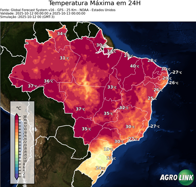 24 horas