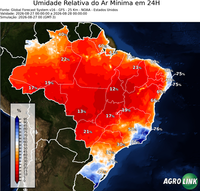 24 horas