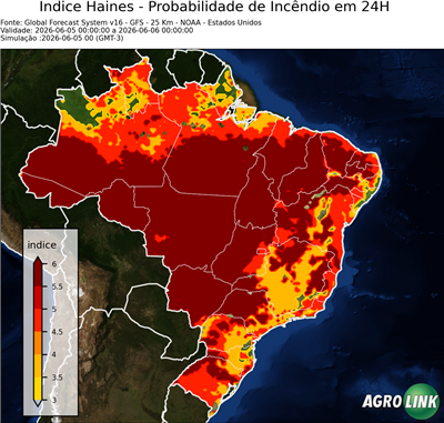 24 horas