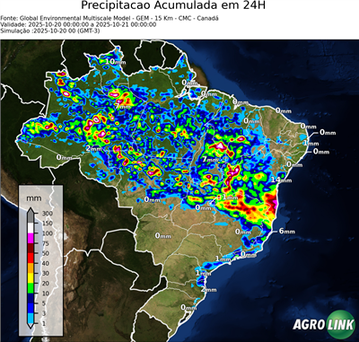 24 horas