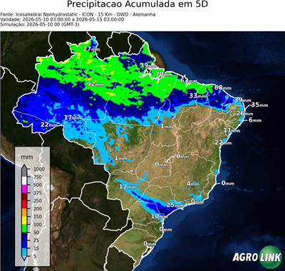 5 dias