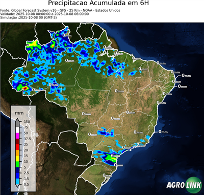 6 horas