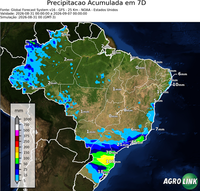 7 dias
