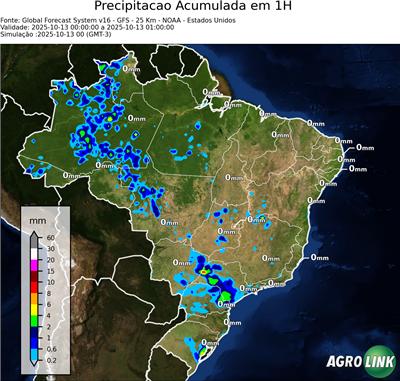 1 hora