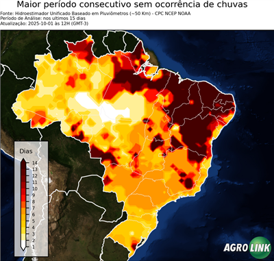 15 dias