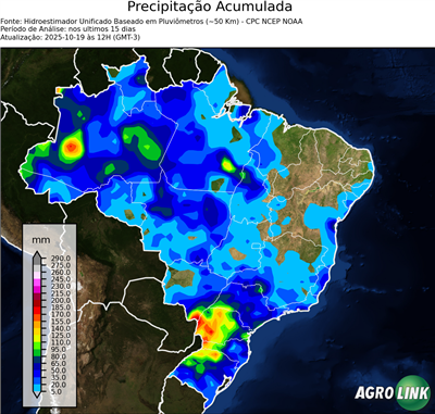 15 dias