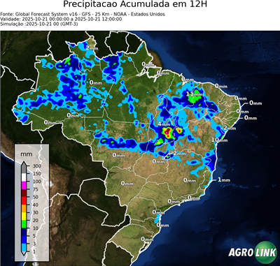 12 horas