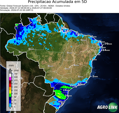5 dias
