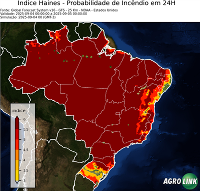 24 horas