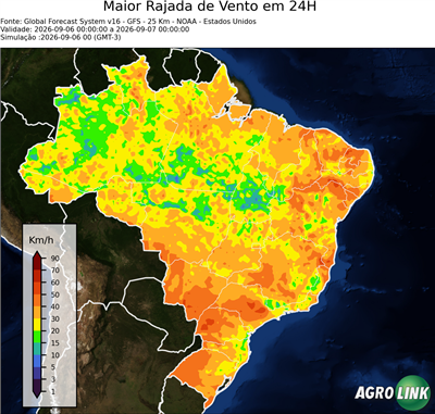 24 horas