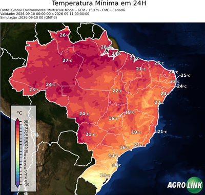 24 horas