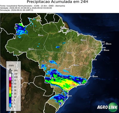 24 horas