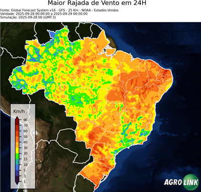 24 horas