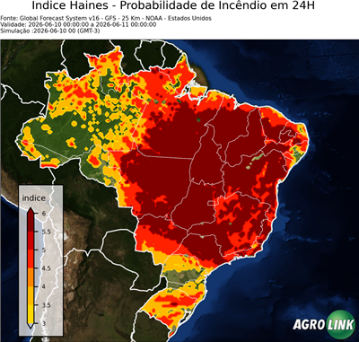 24 horas