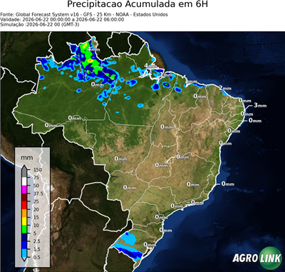 6 horas