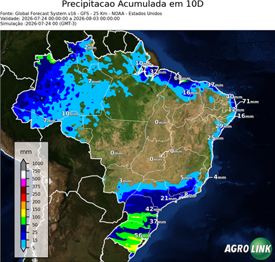 10 dias