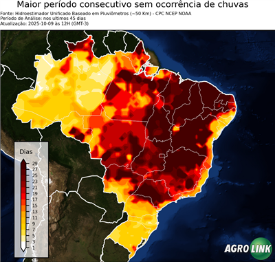 45 dias
