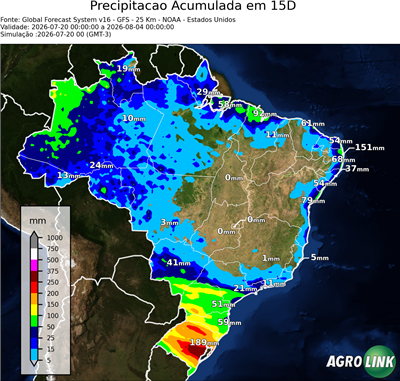 15 dias