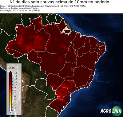 15 dias