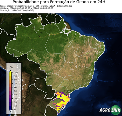 24 horas