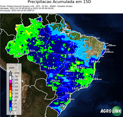 15 dias