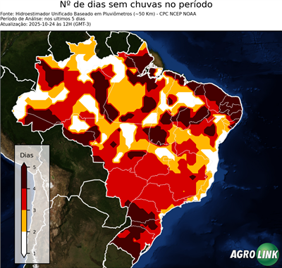 5 dias