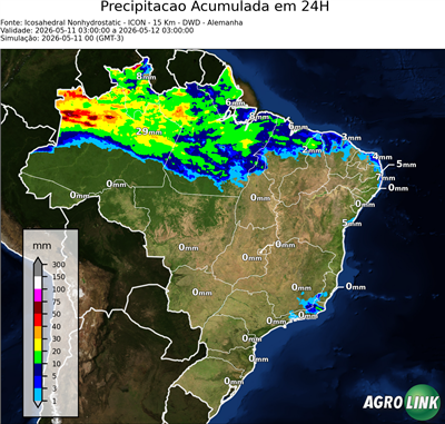 24 horas