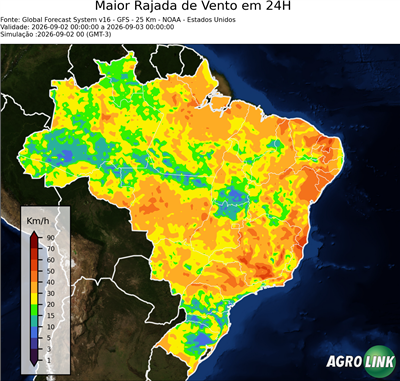 24 horas