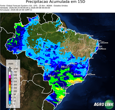 15 dias