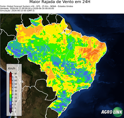 24 horas