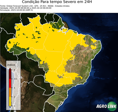 24 horas