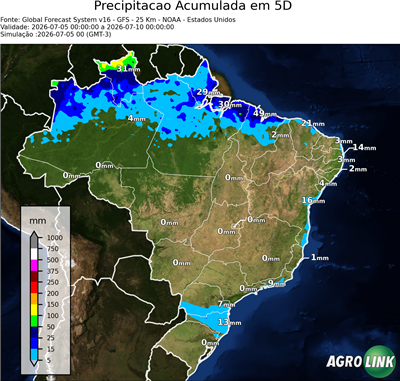 5 dias