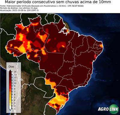 15 dias