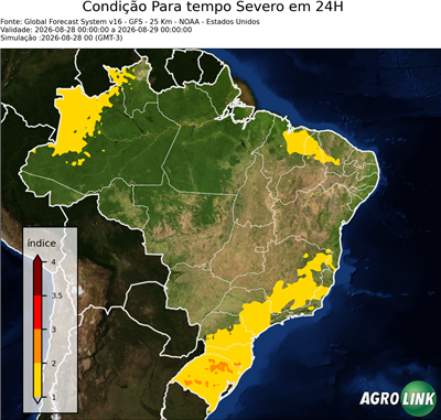 24 horas