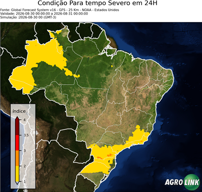 24 horas