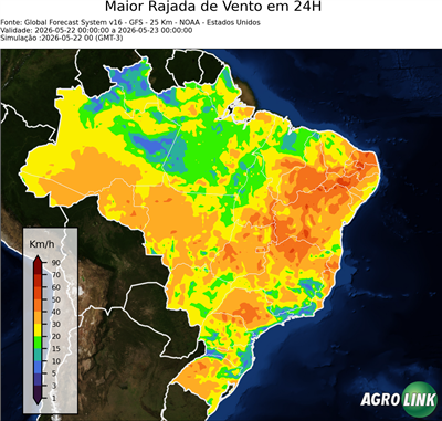 24 horas