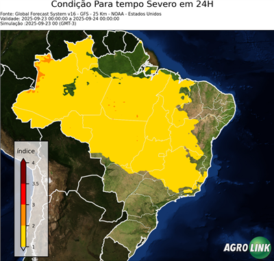 24 horas