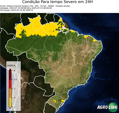 24 horas