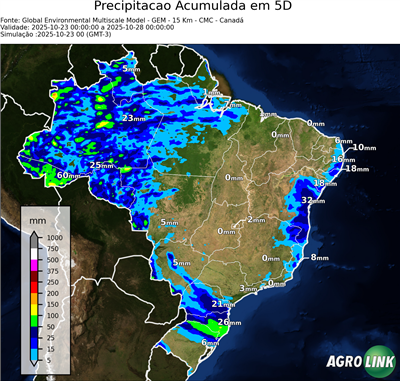 5 dias