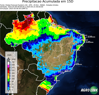 15 dias