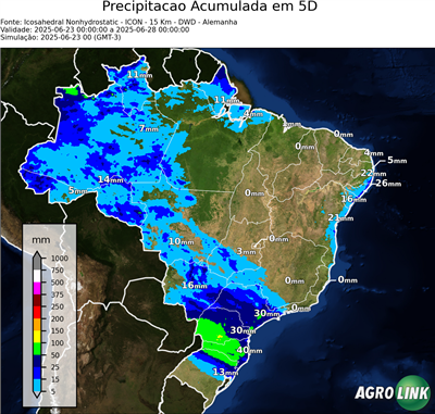 5 dias