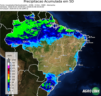 5 dias