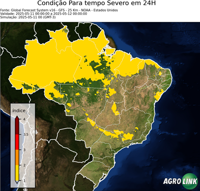 24 horas