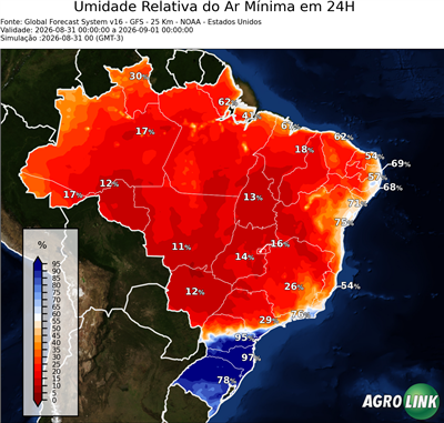 24 horas