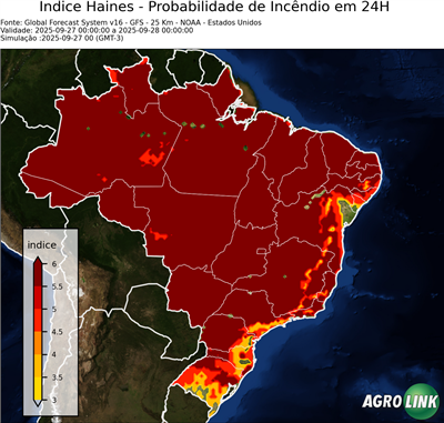 24 horas