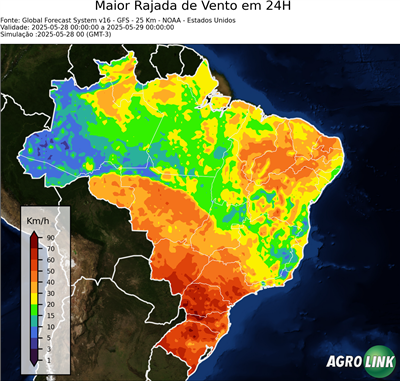 24 horas